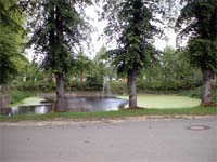 Barsbek Village Pond